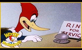 Woody Woodpecker | Woody Dines Out | Old Cartoon | Woody Woodpecker Full Episodes